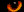 WildStare