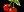 DoubleCherry